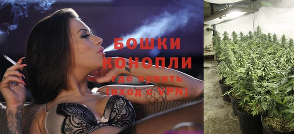 COCAINE Богородск