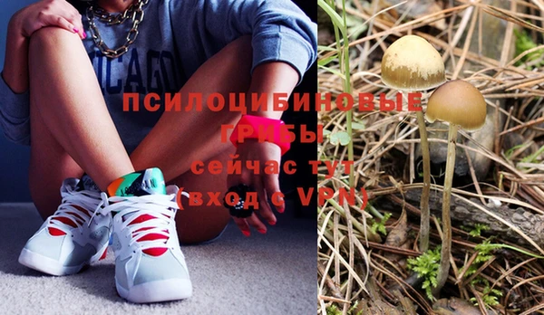COCAINE Богородск
