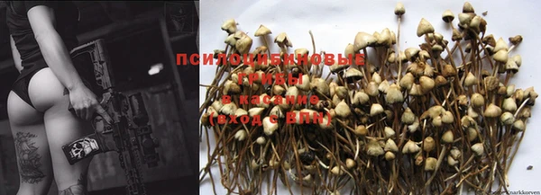 марки nbome Богородицк